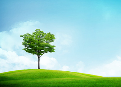 AAA��(j��)�Y�ŵȼ�(j��)�C��(sh��)