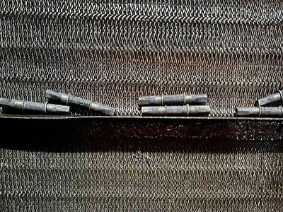 �ɹ�����